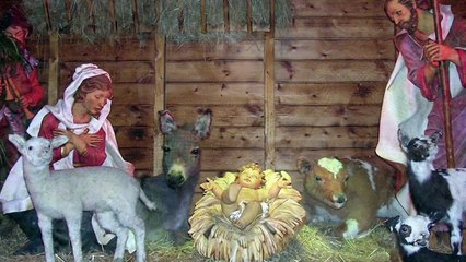 Przychodzimy do stajenki - Polskie Kolędy