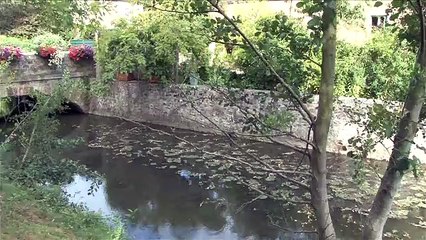 WIKHYDRO -  Hydrobiologiste - IBGN