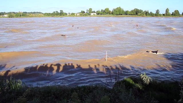WIKHYDRO : observation du mascaret Saint-Pardon septembre 2013