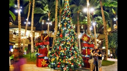 MERRY CHRISTMAS & HAPPY NEW YEAR FROM HAWAII!!!
