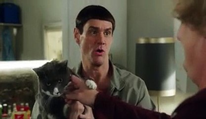 Dumb and Dumber rencontre Breaking Bad