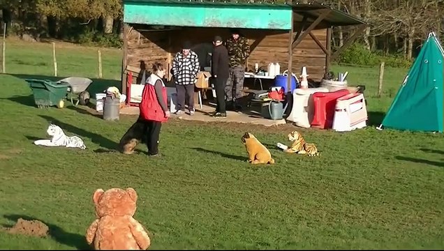 Hurrycan, Brevet Mondioring Tresses 2014