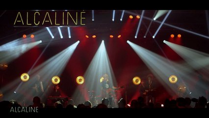 Alcaline, le Concert : Teaser Sanseverino au Trianon de Paris