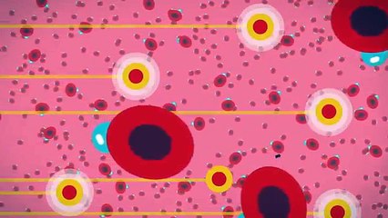 Why-You-Are-Still-Alive---The-Immune-System-Explained