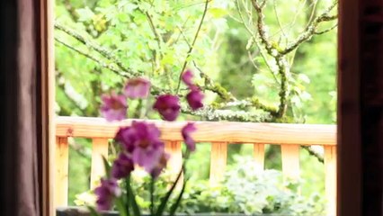 Chateaux dans les arbres-Cabane