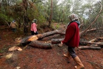 Urla'daki Rüzgar Enerji Santrali'ne Yürütmeyi Durdurma Kararı