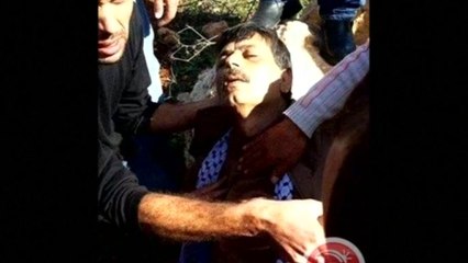 Palestinian politician dies after being struck by Israeli troops