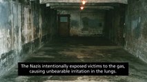 10 Horrible Nazi Human Experiments (Disturbing Content)
