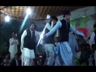 Conference of Botany Shaheed BB University Sheringal Dir Upper Pakistan (August 28-29)