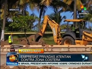 下载视频: Puerto Rico: activistas rechazan proyecto que deforestaría la costa