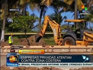 Puerto Rico: activistas rechazan proyecto que deforestaría la costa
