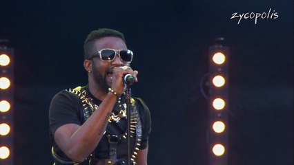 Fally Ipupa - Nuit Africaine au Stade de France