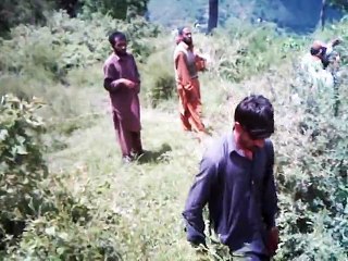 Beautiful Kashmir 🇮🇳