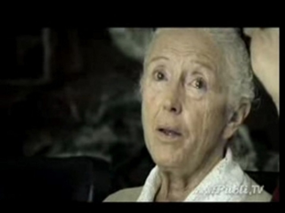 IAC-Alzheimer