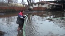 Tunca Nehri'nin Taşması Sonucu, Ahırları Su Bastı