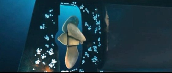 인터넷바카라"▷▷SPACE82。COM◁◁"