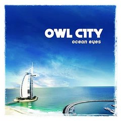 Owl City - Fireflies ♫ Free Download Link ♫