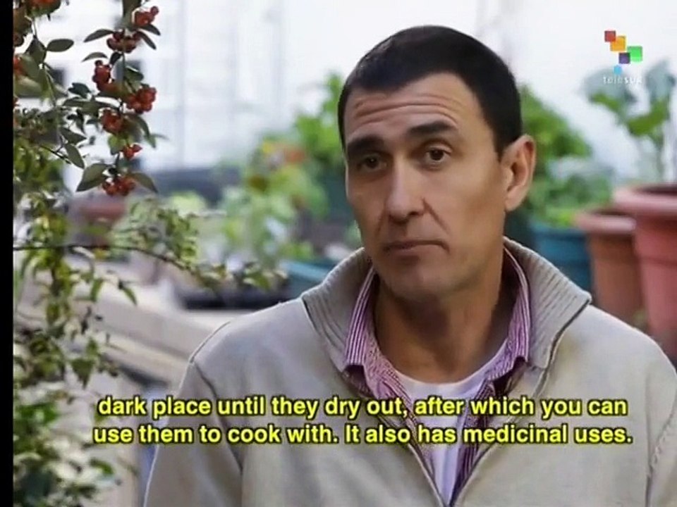 Know Your Body - the Ebola virus and how it spreads