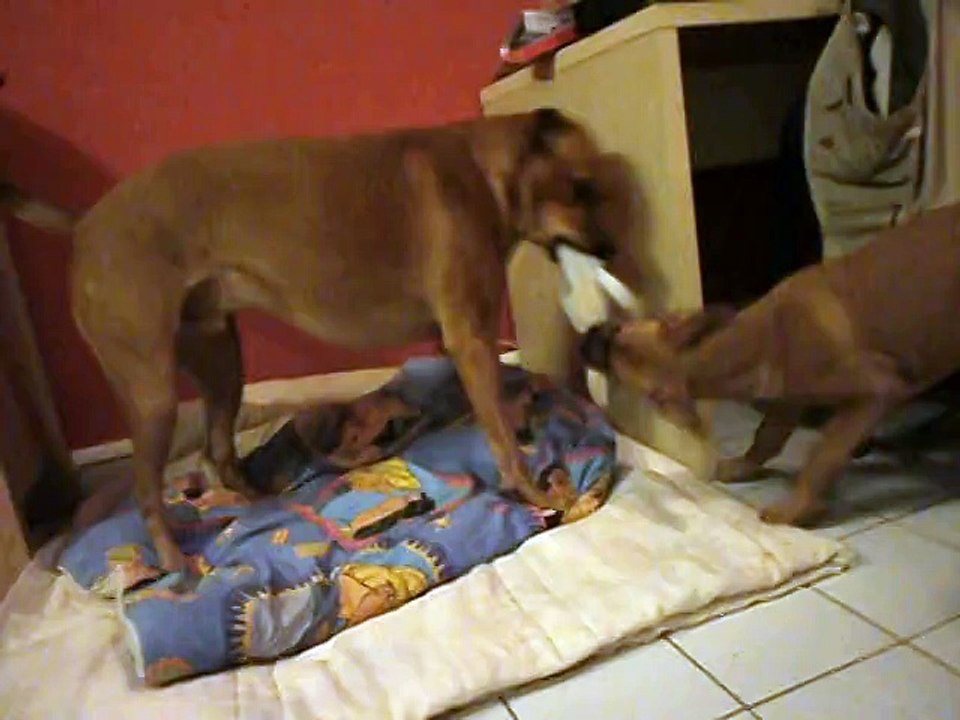 Jade et son doudou accaparé par Eros