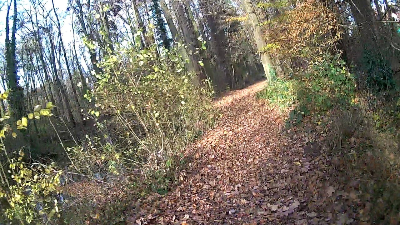 Durch Horrem vom Fitness Point nach hause