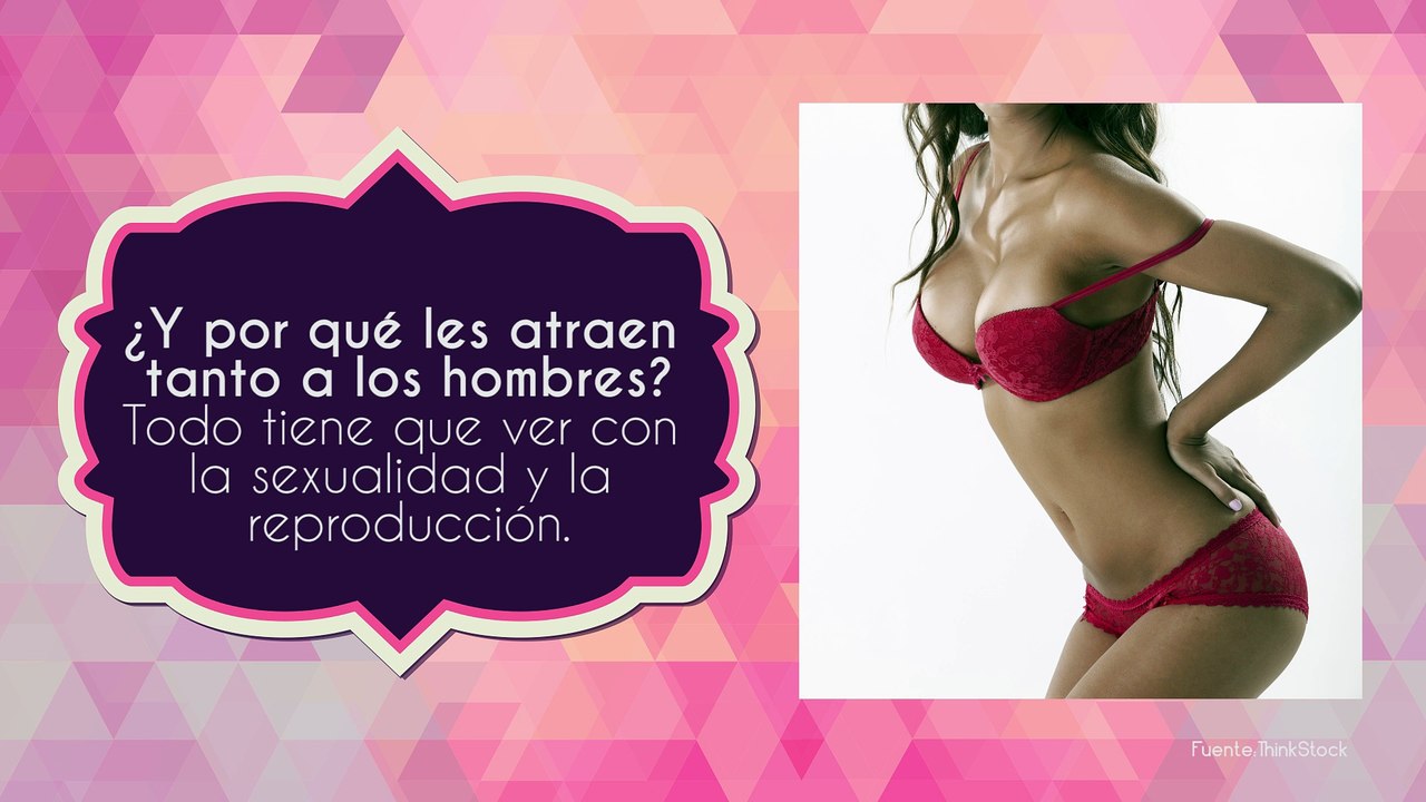 8 curiosidades de los senos que no sabías