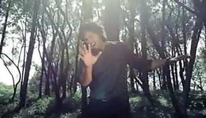 Bayqarar - Waqar Ehsin - Official Music Video - Video Dailymotion