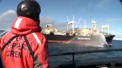 Sea Shepherd primed for Operation Icefish