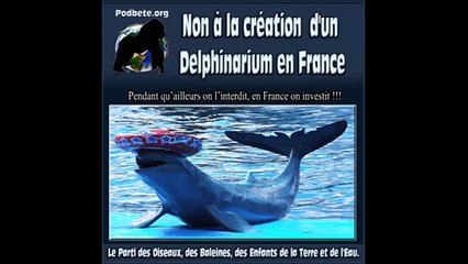 Non aux Spectacles de Dauphins au Zoo d'Amnéville