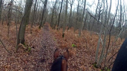 14-11-28 - Balade Chambly 2