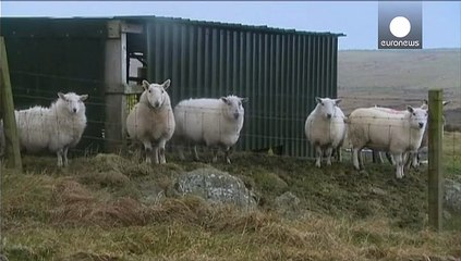 Британська зима: тисячі будинків без світла