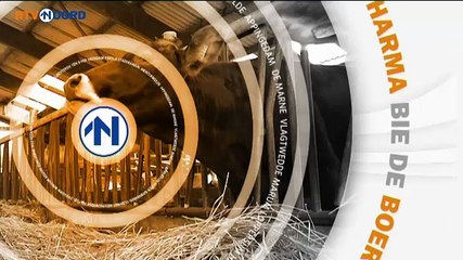 Het Weer: Harma bie de boer [10-12-2014] - RTV Noord