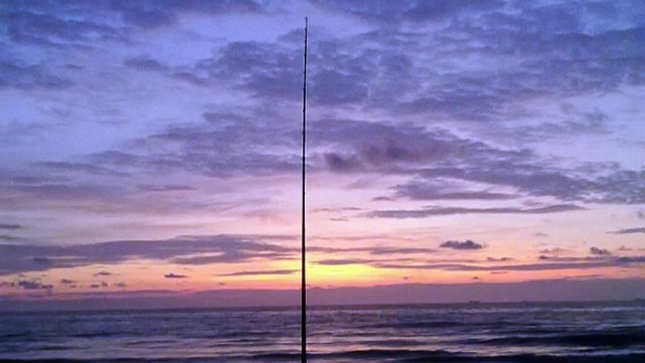 12kg Stingray caught by Surf casting at Desaru, Batu Layar Beach, Malaysia
