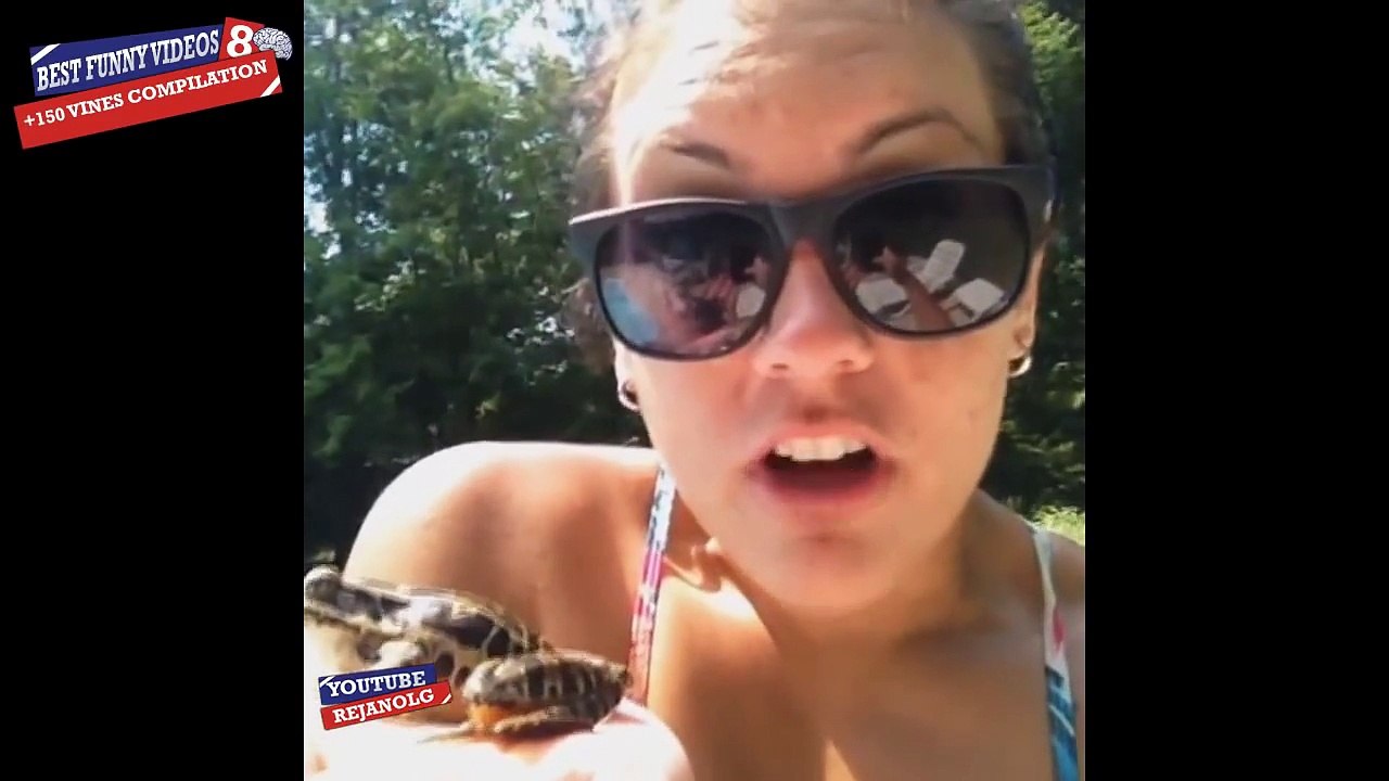 Best Funny Videos #8 Compilation 2014 Epic fail Scare Cam +150 vines