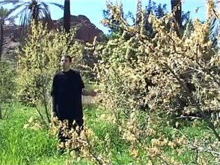 Groupe Karim Anarouz 2010 - Part 3