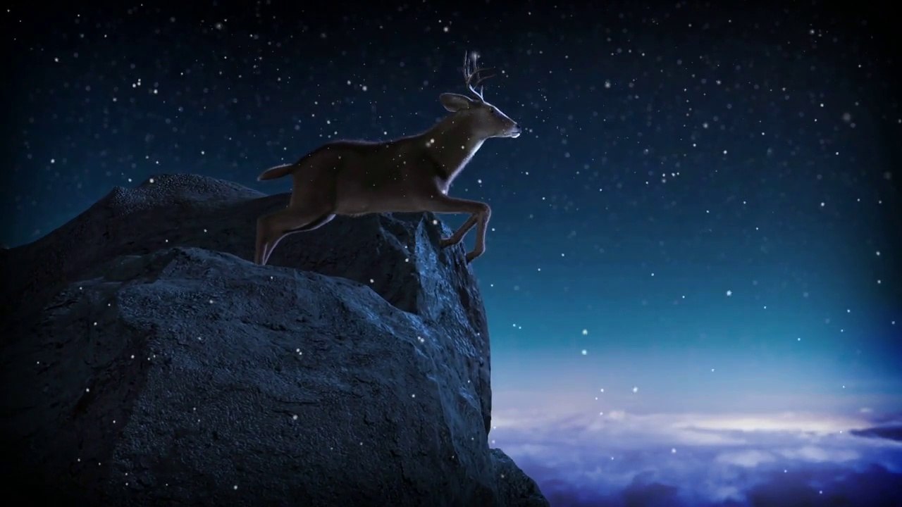 Reindeer Flight ! Christmas Wishes Gifts
