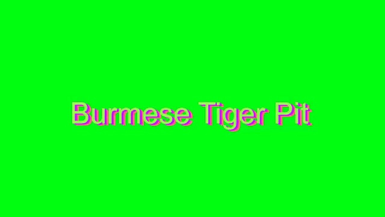 How to Pronounce Burmese Tiger Pit