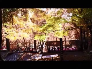 International Business Ethics (笑顔 Code of Conduct) - Kansai Gaidai University (FINAL)