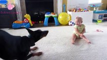 Laughing baby video by Adorable Babies and Priceless Moments with Dogs and Cats