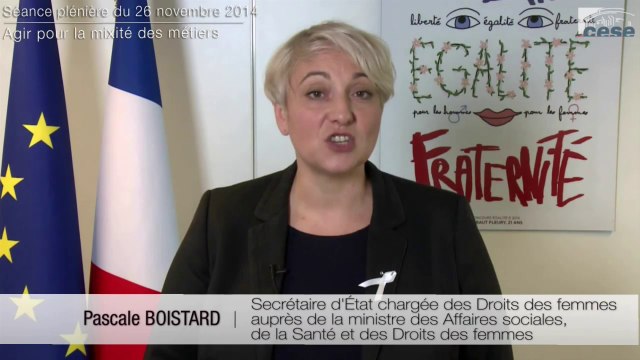 Agir pour la mixité des métiers séance du 26-11-2014 - cese