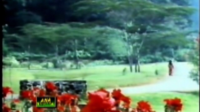 Sona Na Chandi Na Koi Mehal ! Akhlak Ahmed ! Beautiful Lollywood Track HD ! mG