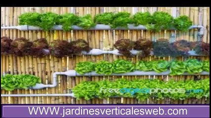 Diseños  de jardines verticales hidropónicos caseros , para interior y exterior