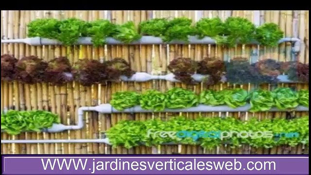 Diseños de jardines verticales hidropónicos caseros , para interior y exterior