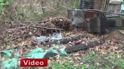 Tek İsteği Sıcak Bir Yuva