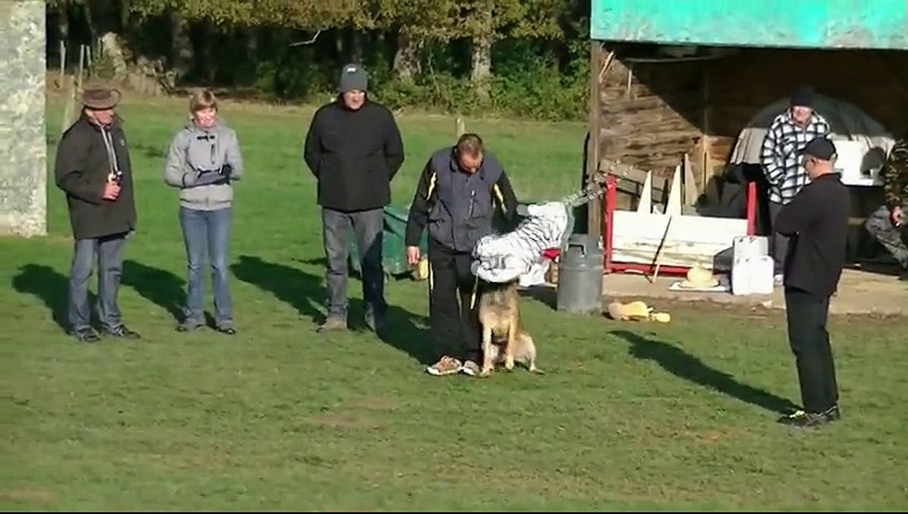 Hulk, Mondioring 1, Tresses 2014