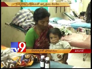 Stray dogs on biting spree in Warangal