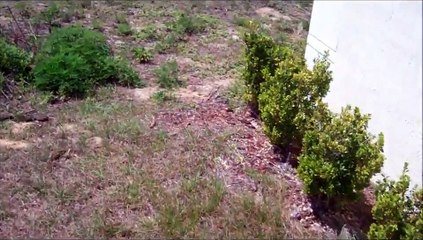 A Home Inspector Orlando Finds HVAC Mix Match System