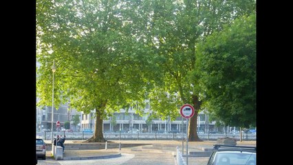 VERONIQUE LAURENT : "Toujours la même" (L'An Vert, Liège, 2012)