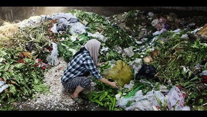 Reportage à Lorient avec "les Robins des Bois des supermarchés"