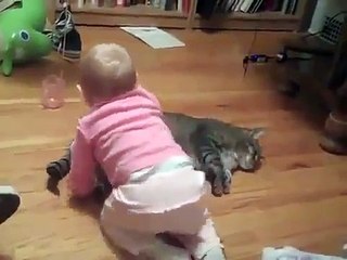 funny baby playing with cat very cute _ Tune.pk