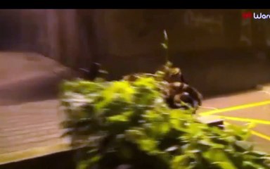 أكثر مقاطع "يوتيوب" مشاهدة عربياً وعالمياً